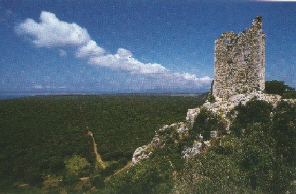click to enlarge