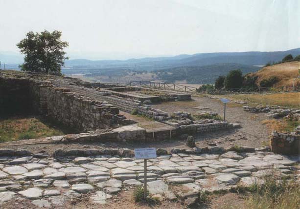 click to enlarge